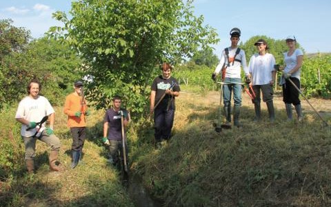 >>>Consultez l’annonce de proposition TIC de Gergovie Val d’Allier >>>se connecter sur le portail http://www.cc-gergovie-val-allier.fr/actu/tic-2014 et s’inscrire en ligne Partagez