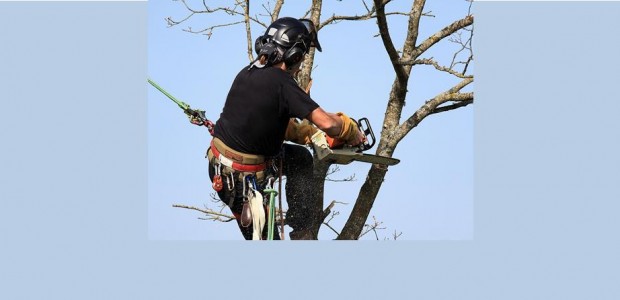 Des travaux d’élagage vont être entrepris sur le territoire d’Authezat, afin d’assurer la sécurité des personnes et des ouvrages électriques. L’entreprise IDEE TRAVAUX SERVICES est chargée de ces travaux. Un […]