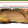 >>>Clic pour voir le programme de ces deux journées de la fédération départementale de pêche >>>Le programme détaillé d’Anis Etoilé >>>Le portail d’Anis étoilé