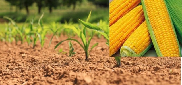 >>>Avis aux producteurs de maïs consommation relatif à la campagne 2023
>>>Demande d’autorisation pour la production de maïs consommation 2023
