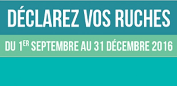 >>>Site de la Direction Régionale de l’Alimentation, de l’Agriculture et de la Forêt de la région Auvergne-Rhône-Alpes >>>http://agriculture.gouv.fr/la-declaration-des-ruches-evolue-en-2016 >>>Arrêté préfectoral du 10 septembre 2012 relatif aux emplacements de ruches Partagez