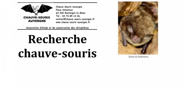Recherche chauve-souris : vous êtes sollicité >>>Plus d’infos Partagez
