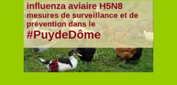 >>>Biosécurité communes du Puy-de-Dôme, lire la documentation >>>Pour en savoir plus >>>Mais aussi http://www.puy-de-dome.gouv.fr/h5n8-mesures-a-l-attention-des-detenteurs-de-a5883.html Partagez