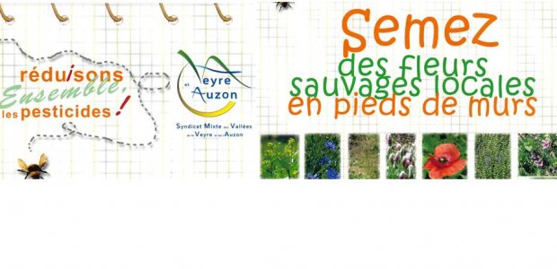 Opération « sachets de graines pour le fleurissement des pieds de murs » à l’initiative du SMVVA, dans le cadre de l’accompagnement de la commune de Authezat pour la réduction d’utilisation des […]