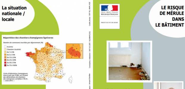 Mérule : Les obligations pour lutter contre le développement de la mérule. La mérule est un champignon qui se développe dans le bois et le décompose. En cas d’humidité excessive et […]