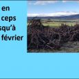 Madame Corinne Ville vous propose, de vous servir en sarments et ceps suite à l’arrachage de sa vigne à La Gardette (voir plan joint – passer sous l’autoroute et prendre […]