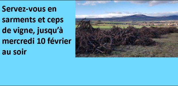 Madame Corinne Ville vous propose, de vous servir en sarments et ceps suite à l’arrachage de sa vigne à La Gardette (voir plan joint – passer sous l’autoroute et prendre […]